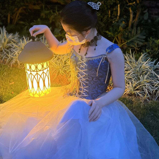 Lamplit Fairycore Corset Top for Gen Z K-POP Streetwear